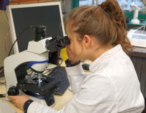 Searching for extremophiles in the Andernach Geyser