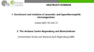Kultivierung von anaeroben, hyperthermophilen Mikroorganismen - Vortrag von Robert Reichelt