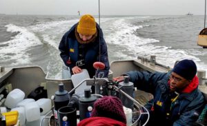 Auf der Suche nach MGII in der Nordsee