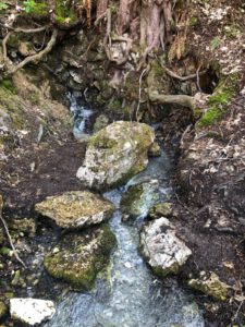 Sampling at Sippenau Moor by University of Duisburg-Essen